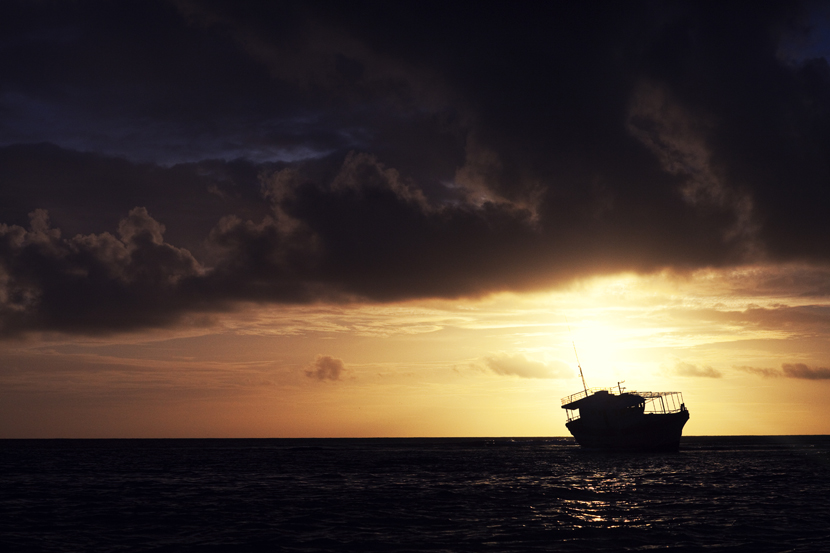 Wreck on Avocaire Reef, Cargados Carajos Shoals, Mauritius