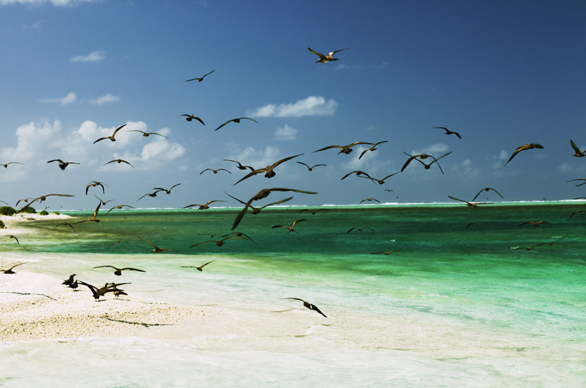 Channel through the reef, Cargados Carajos, Mauritius, Indian Ocean